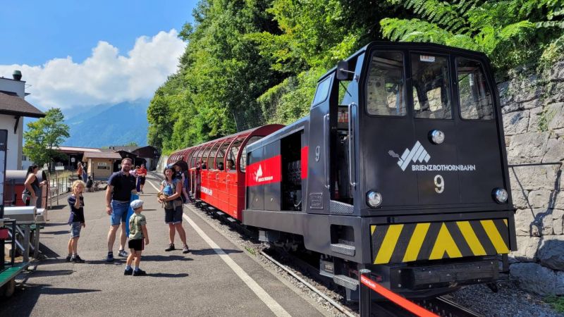 Klicken für Bild in voller Größe